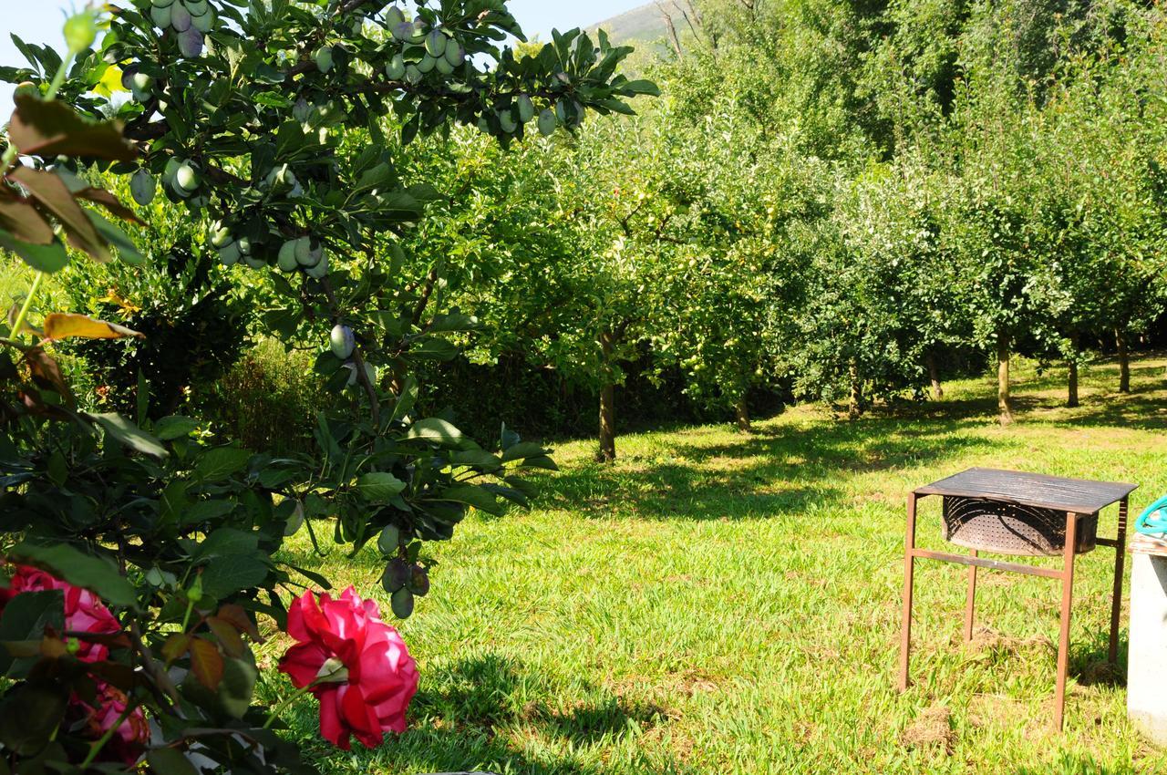 Guest House Markovic Budva Exteriör bild